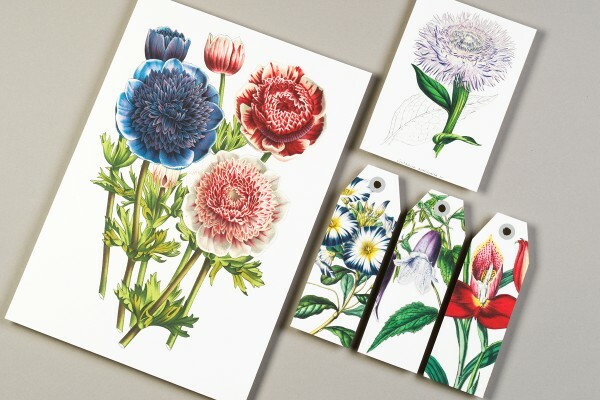 Pepin Paper Craft Book Flowers