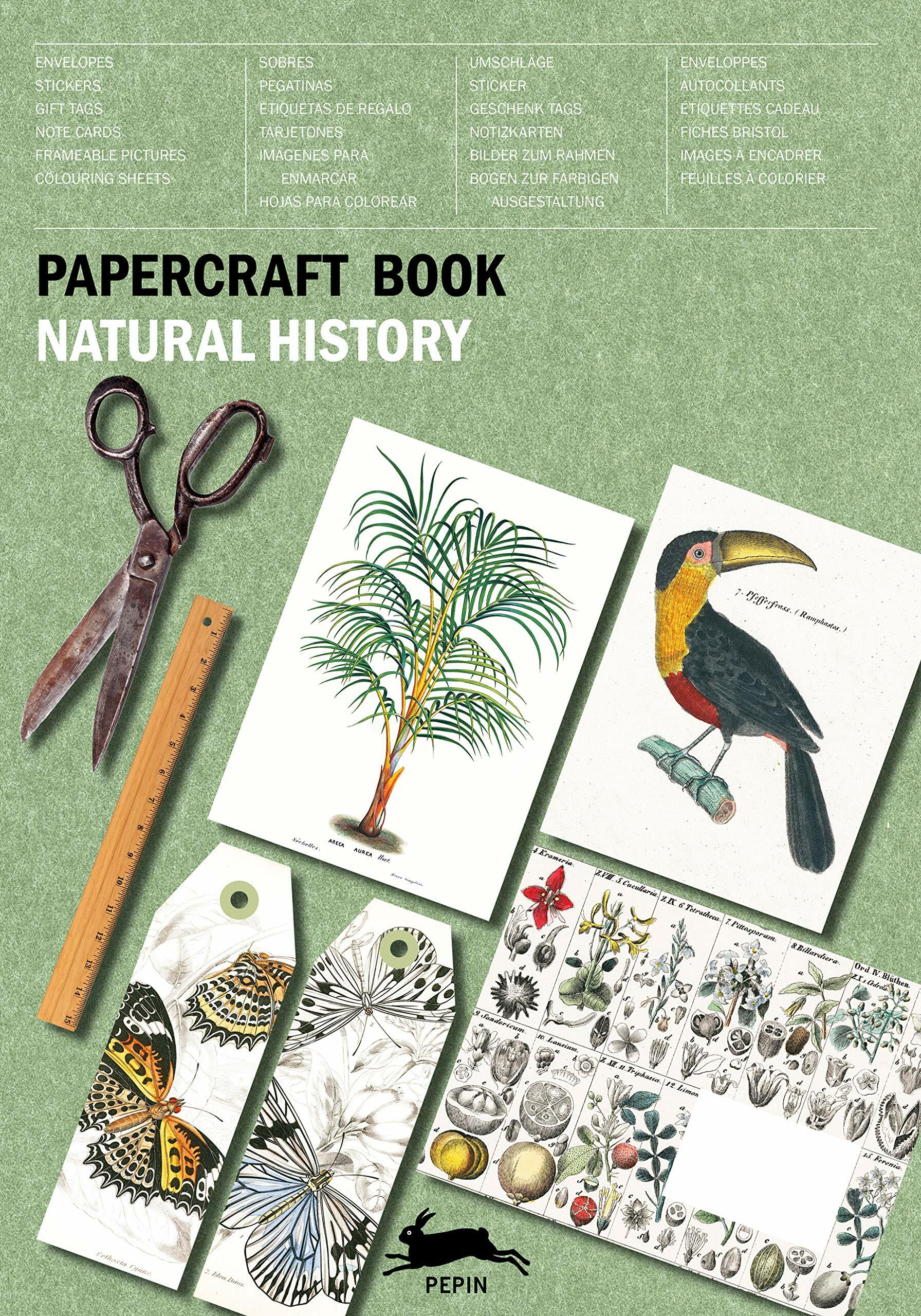PEPIN Papercraft Book Natural History